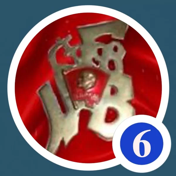 ДМБ ВЛКСМ символ